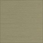 22GR-LIGHT EMERYRE-POLIS. IVORY